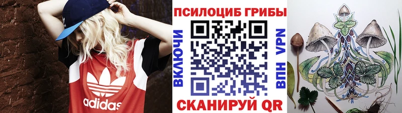 Галлюциногенные грибы Psilocybine cubensis  купить наркоту  Гаврилов-Ям 